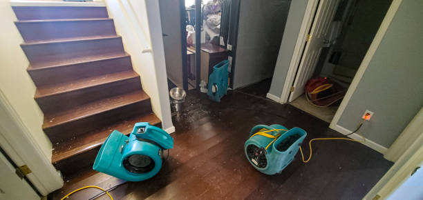 Best Flood damage cleanup  in Soquel, CA