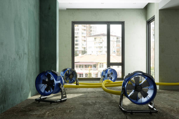 Best Ceiling water damage repair  in Soquel, CA